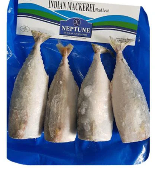 Neptune Indian Mackeral Headless